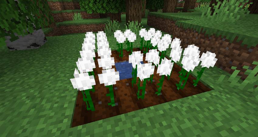 Скриншот мода Cottonly #4509