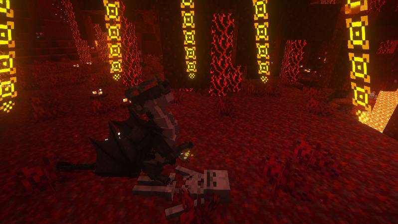 Скриншот мода Dragon Survival #4223