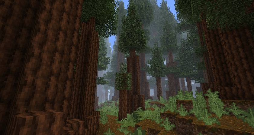 Скриншот мода Dynamic Surroundings #758