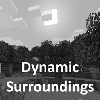 Dynamic Surroundings logo