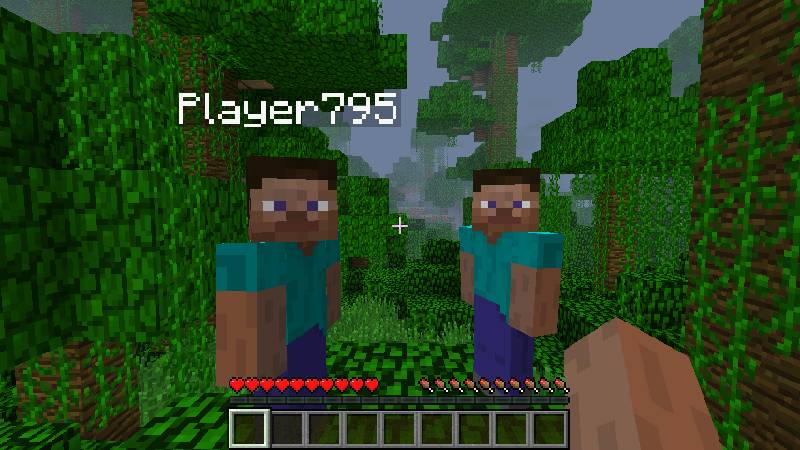 Скриншот мода Hide Names #4524