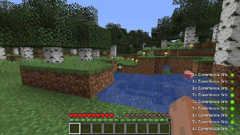 Скриншот мода Pick Up Notifier [Legacy Fabric] #4303