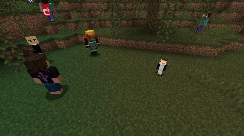 Скриншот мода Player Mobs #3320