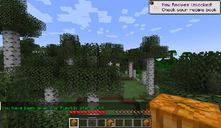 Скриншот мода Starter Kit #1027