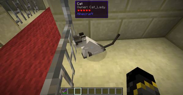 Скриншот мода Wawla - What Are We Looking At #646