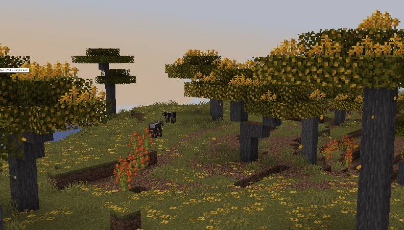 Скриншот мода Windswept! #4261